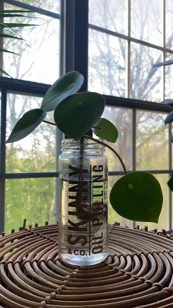 Celebrate #EarthDay with Us! Take 20% off all products with code EARTHDAY at checkout.