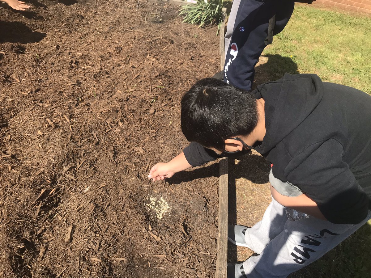 M_Sinclair5's tweet photo. Planting on #Earthday! @CharMeckSchools #gatorcrew https://t.co/Z0yGj51owQ