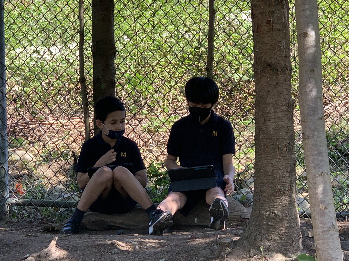 Eric Bird tweet media