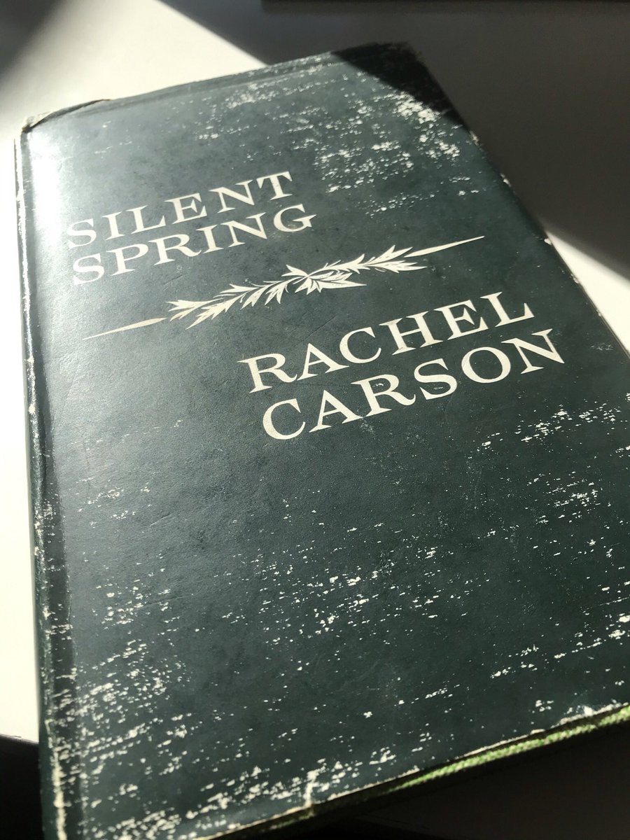 #EarthDay2021  unionjill.bandcamp.com/track/silent-s…