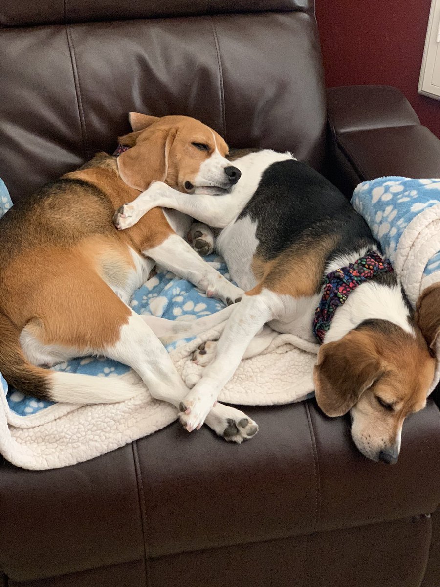 Troy Scofield tweet media