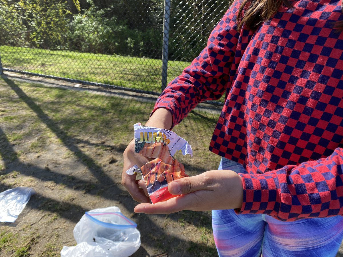 Hillcrest Middle School Happenings tweet media