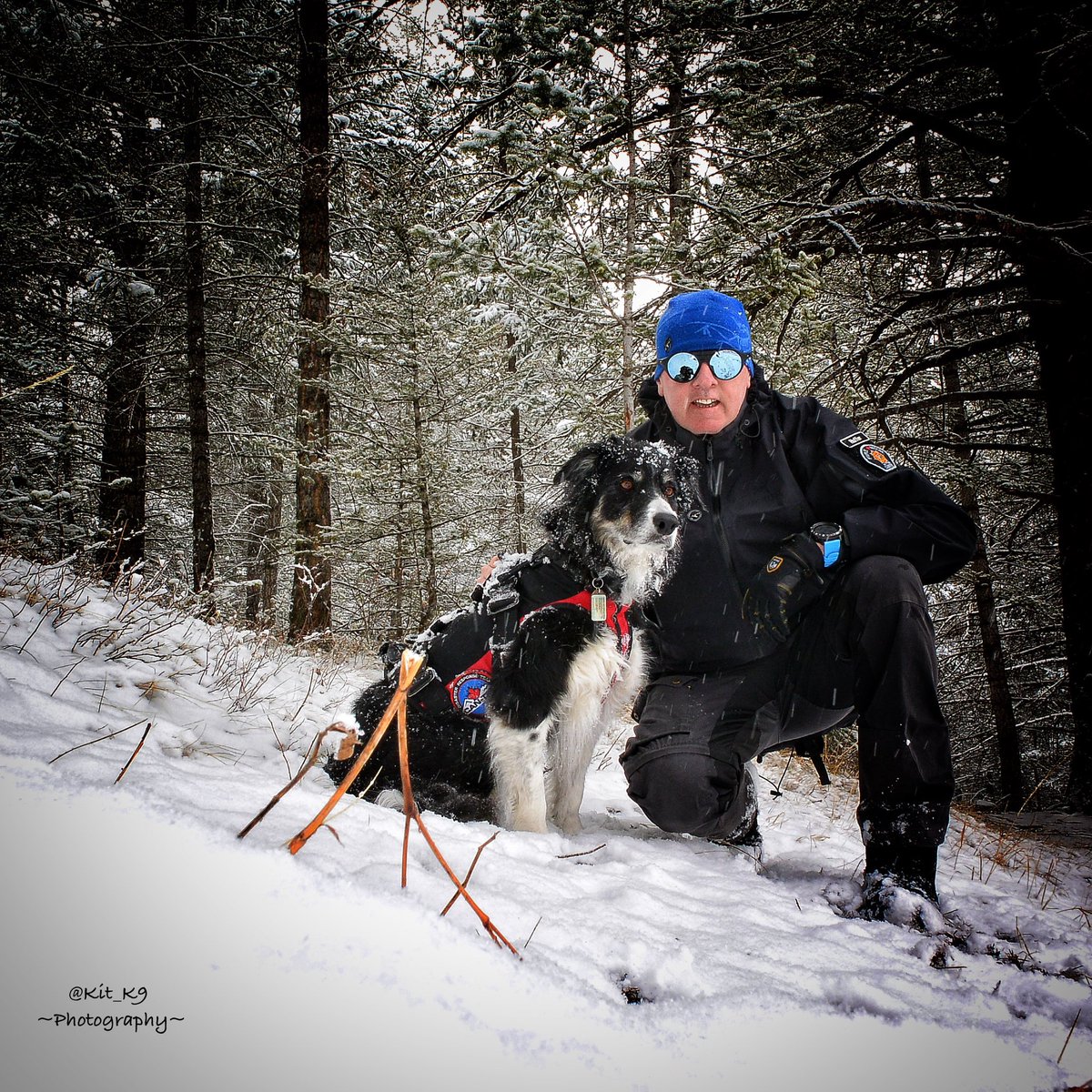 Kit_K9's tweet photo. SPRING ALPINE WEATHER
Yesterday, ......sun &amp; Pimms on the deck
Today, .............snow and mulled wine!
:
#MtLadyMacDonanld #SpringTraining #DisasterDog #Baillie🐾 https://t.co/uRjM7FGFPx