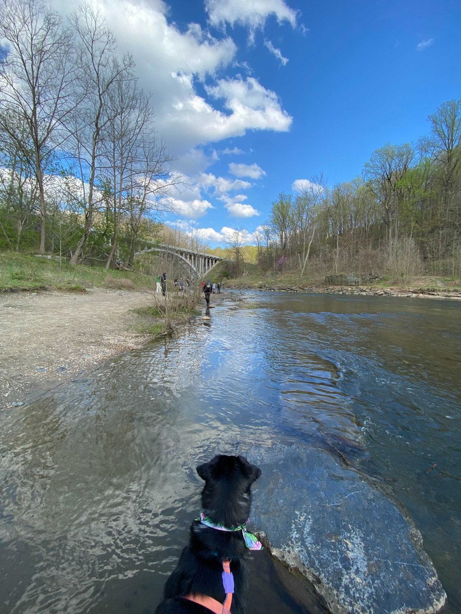 ISEsecurity's tweet photo. 🌎Happy Earth Day🌎From the ISE Team! Pictured are a few shots from our recent company outing to a local state park 🌳🌿🍃#EarthDay2021 #EarthDay https://t.co/oNvHW8CN1j
