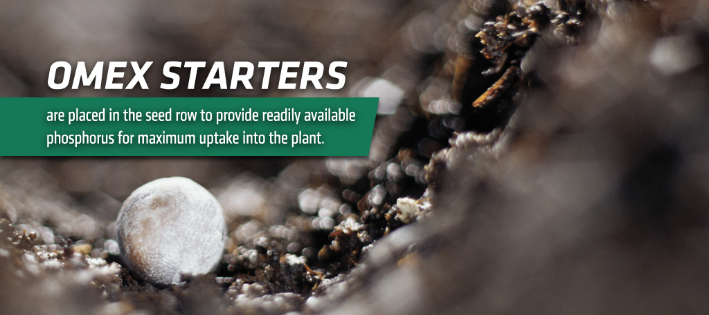 omexag's tweet photo. #Primers compensate for the unbalanced seed nutrient density &amp; provide readily available phos, potassium and micronutrients to allow for a faster emergence &amp; an even establishment early in the season. #OmexCanada #PrimerZn #PrimerMn #PrimerCu #PulsePrimer #PulsePak #PrimerCanola https://t.co/Jhpt5Amv79