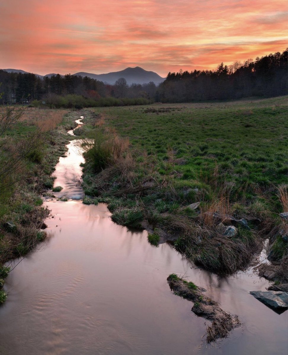 Peach State Pride tweet media