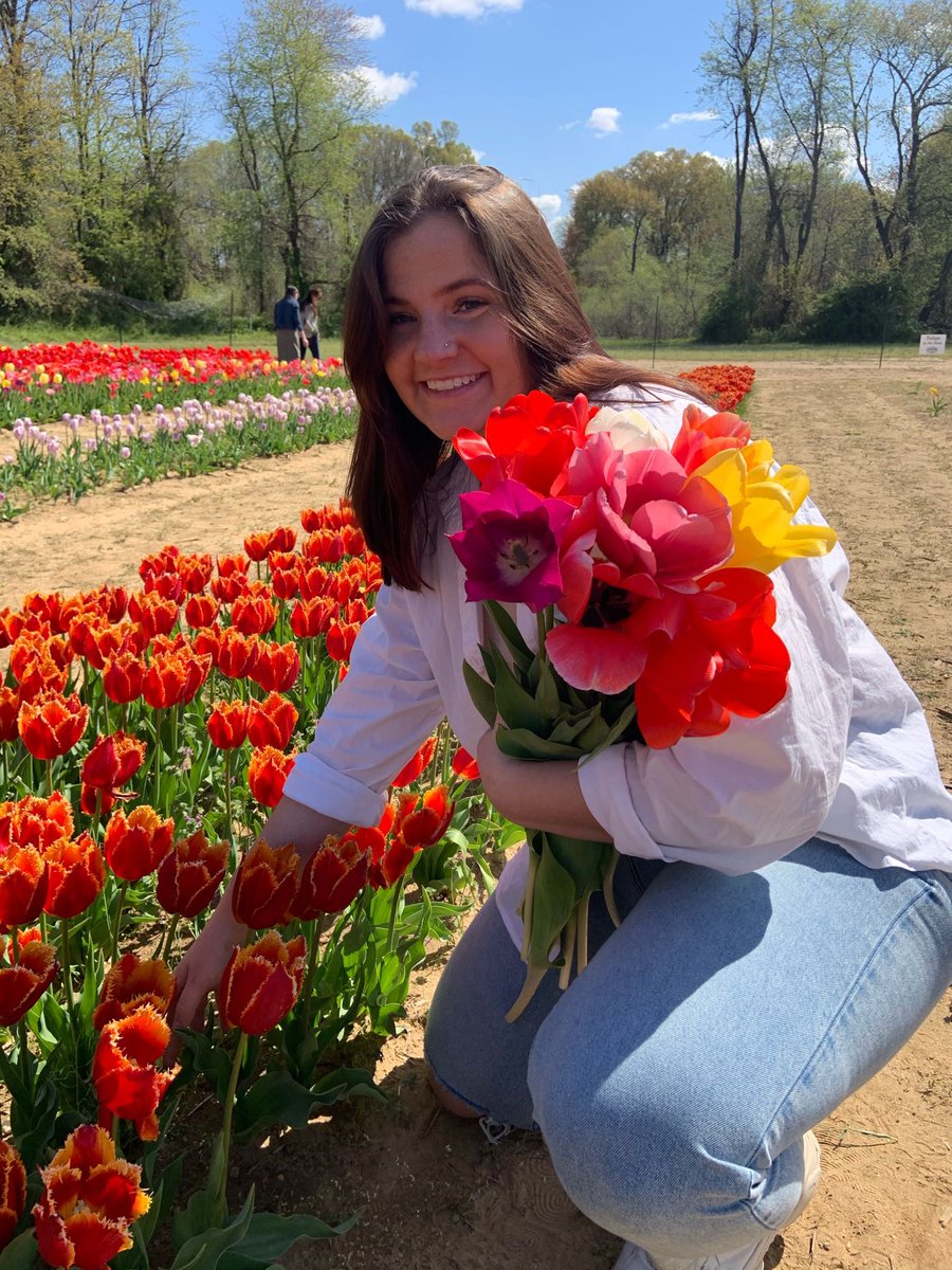 KAPPA DELTA TOWSON tweet media