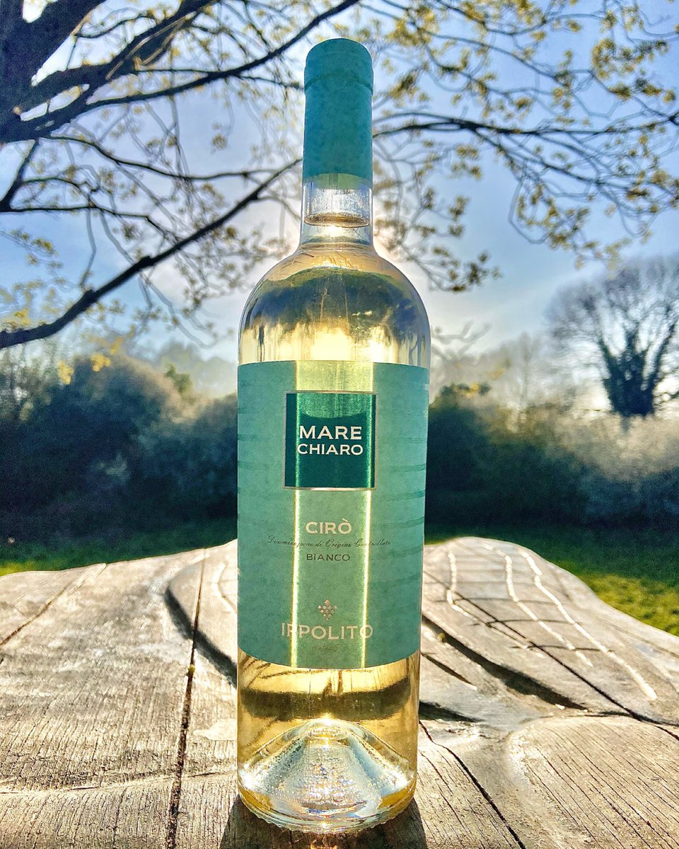 ☀️ Can you see the world through a bottle of wine? We think it’s possible!  

🍷 Our Cirò and other amazing @ippolito1845 wines are available here in U.K.

🚚 We offer free delivery for each box of 6 6 wines!

Dm us for info and prices

🌎 It’s a Winederful world! 🌍 

#wine