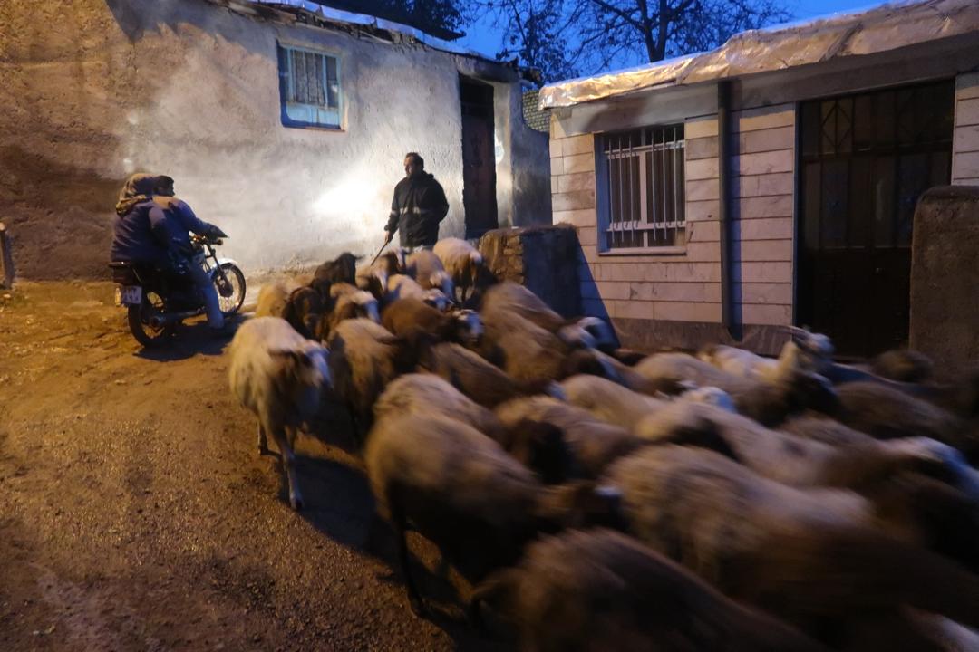 20) Alamut es un lugar muy chiquito, no hay mucho. Y Ali Reza no puede hospedarnos porque está reformando su casa.Pero nos consigue una pequeña hostería. Hace demasiado frío; el dueño nos prende una estufa a combustible en el cuarto.Salimos a recorrer el lugar, una maravilla.