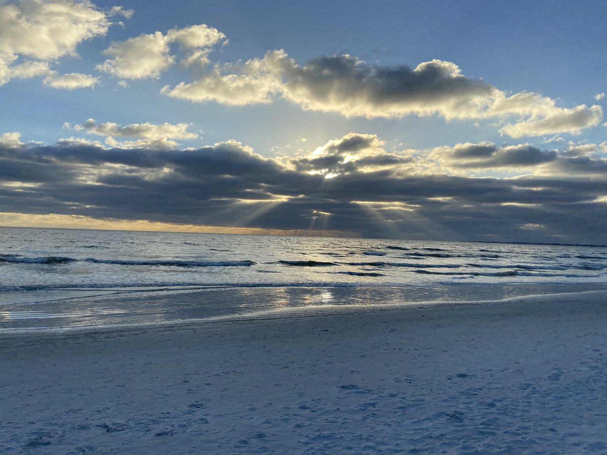 emily__oco's tweet photo. earth day: a day to celebrate my happy place 🌤🌴 https://t.co/qPs65ikqbz