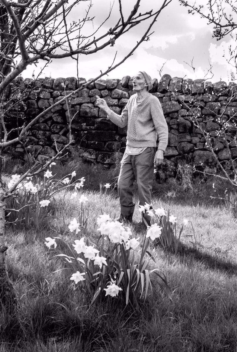 Jim Oaks talking #bees the other day,
“Have you time to look at my orchard Kate? I’ve got so many bees, it’s thronging, they’re coming to the plum blossom, it’s just started, we’ve got to look after them, we need them...”
#EarthBound
#EarthDay2021 
#Grassrootswisdom 
#Derbyshire