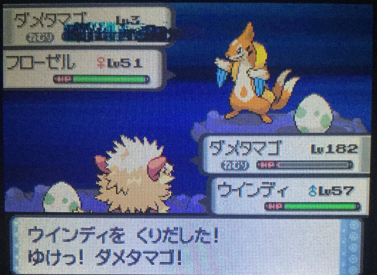 アダン Gen4pomeg Twitter アダン Gen4pomeg Twitter