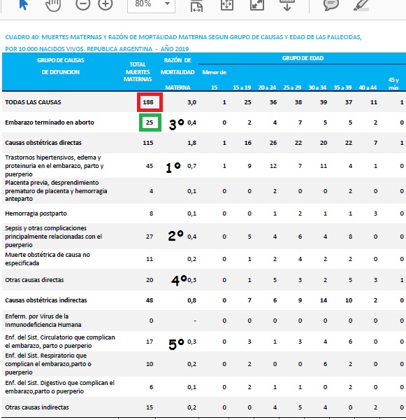 Las muertes por aborto provocado representaron el 0,16 % de las muertes en edad fértil y el 9,5% de las muertes maternas. Las muertes por aborto general representarían la 3º causa, pero el aborto provocado es la 4º causa (1º HTA, 2º Sepsis, 3º Otras causas directas)