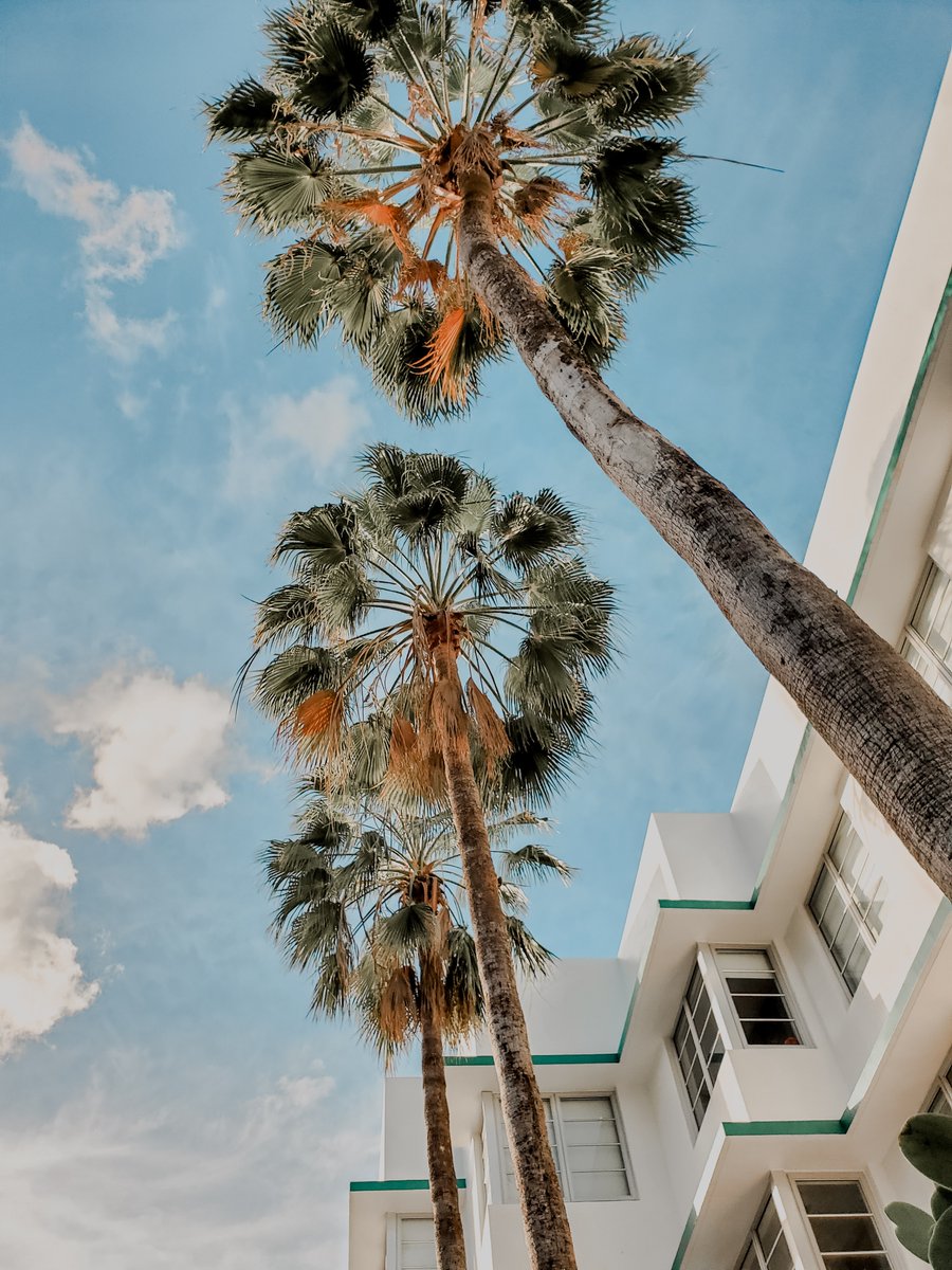 'Boston, Santa Monica, and #Tallahassee lead a growing list of cities whose multifamily #markets are beginning to crack, with the percentage of #loans with #occupancy under 80% increasing substantially over the last year.' #GlobeStreet #Multifamily #CRE #EmilianiRealEstate