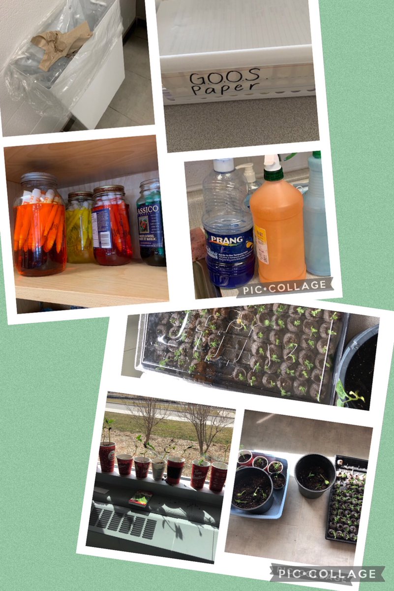 Thank you <a href="/IndigoLOR/">Indigo Love of Reading Foundation</a> for supporting our #EarthDay2021 and giving our students new books to about the history of #EarthDay and more ways to help restore our planet through #environmentalliteracy #indigoloveofreading <a href="/LakeSimcoePS/">Lake Simcoe PS</a> <a href="/lksimcoepslib/">Lake Simcoe PS LC</a> How are you helping our planet?