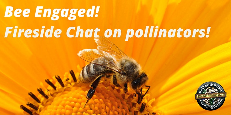 Bee Engaged!
A Free #WorldBeeDay Fireside Chat on #Pollinators &amp; #Biodiversity! ~ by theDoighouse Learning Centre

For more information, and to register for this free fireside chat, please click here:
 eventbrite.ca/e/bee-engaged-…

#bcnativebees #nativebeesociety #nativebeesocietyofbc