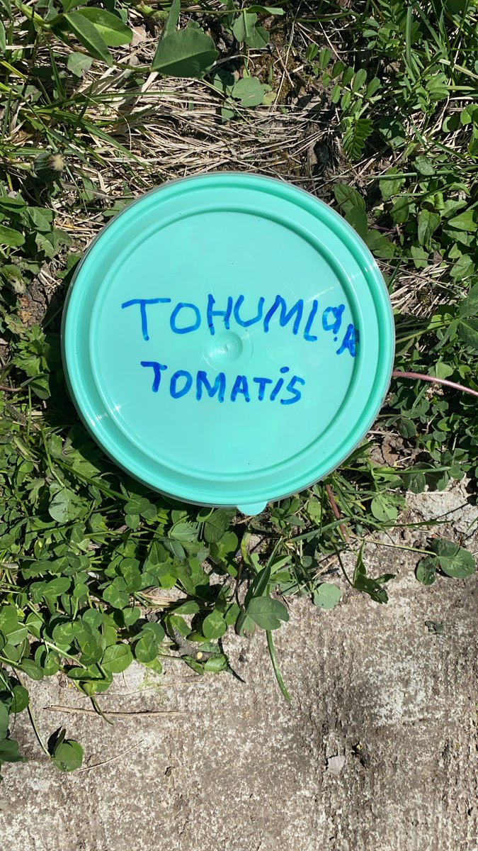 TDK’dan geldiler anneannemi götürüyorlar arkadaşlar ne yapmalıyım ?