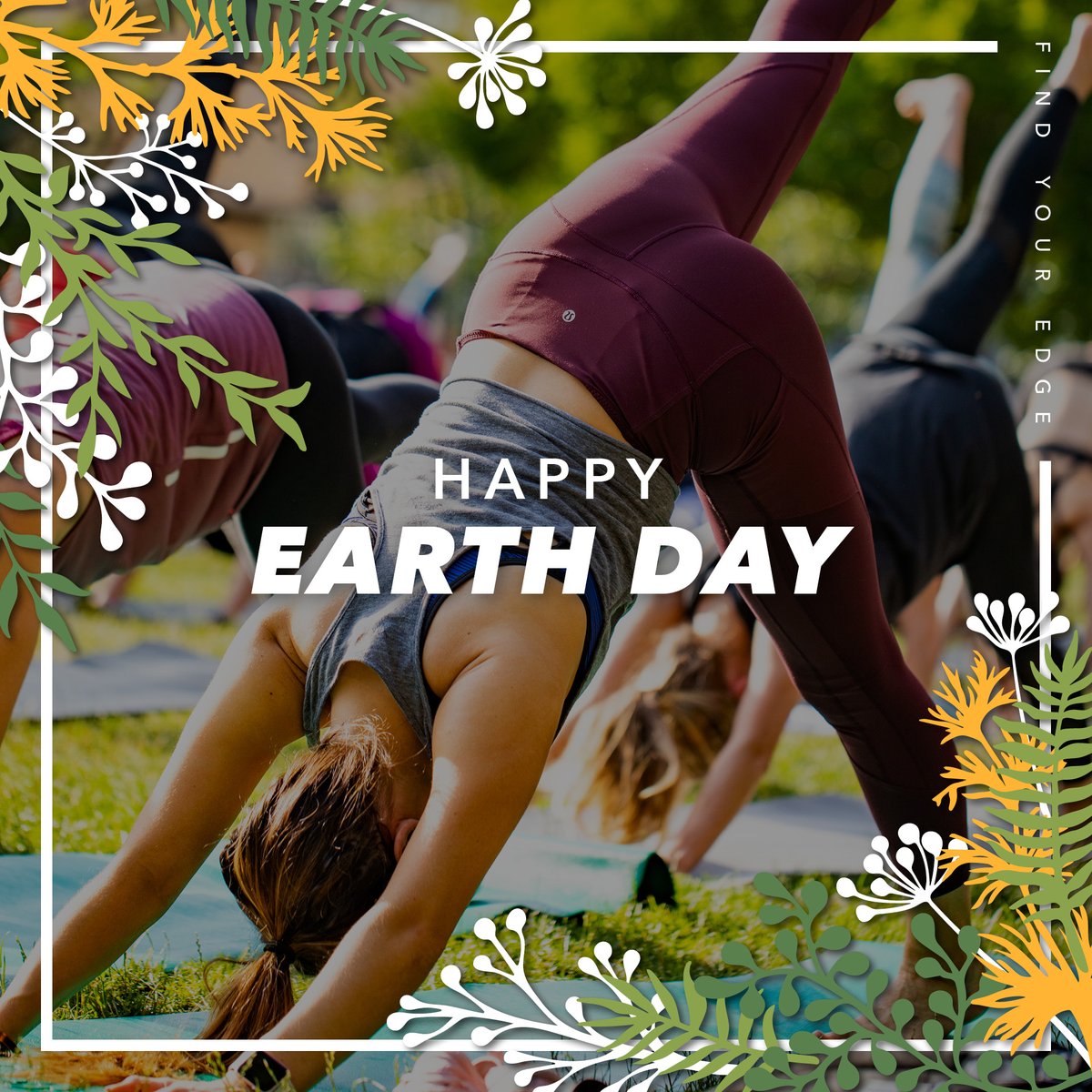 TruFusion tweet media