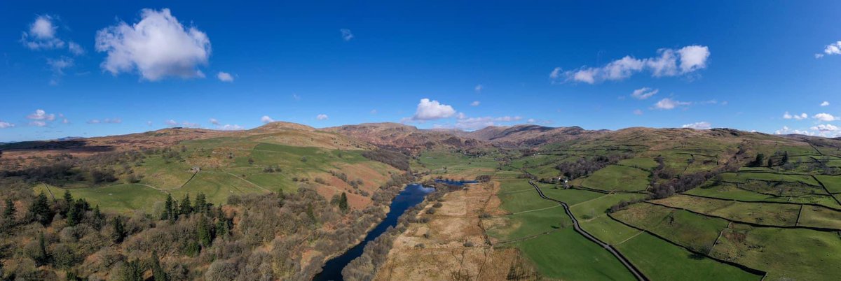 Save The Heart Of Kendal tweet media