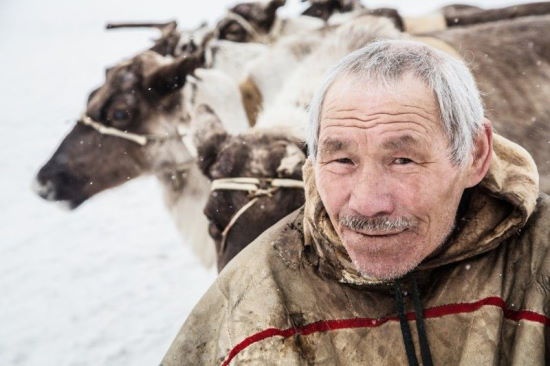 Чукчи фото. Оленевод Бердыев. Чукчи оленеводы. Современные чукчи.