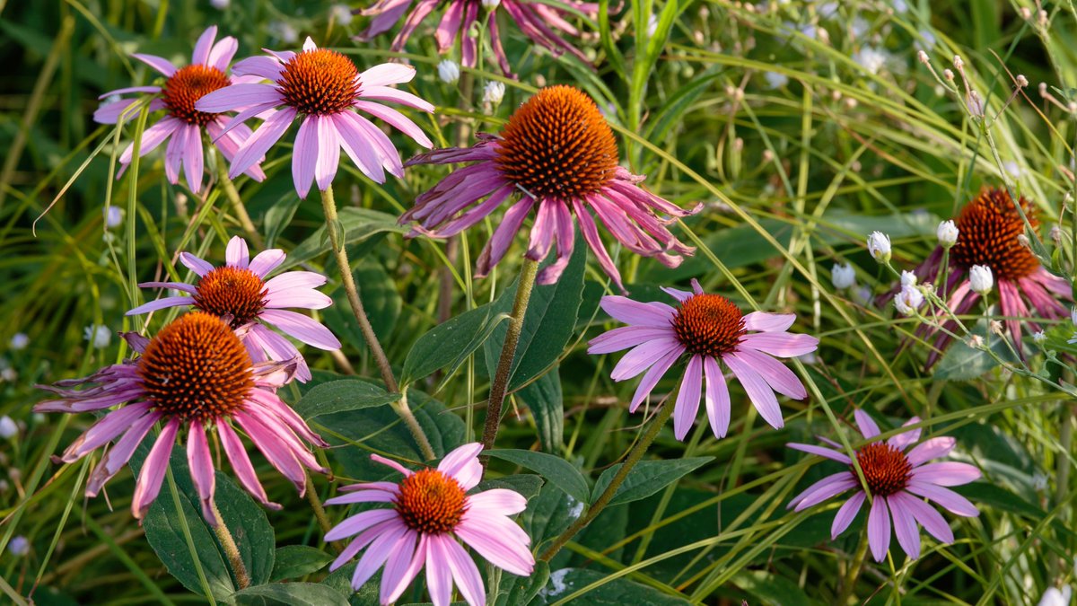Happy #EarthDay ! We’re committed to sustainable solutions every day using 100% renewable energy, practicing zero waste, using responsibly sourced and recycled paper, offsetting paper use with reforestation projects, shipping carbon neutral and more!
.
📸: PrintForest HQ
