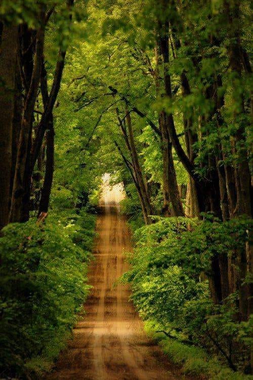 GloriaSamadhi's tweet photo. Poland  🇵🇱 *¨(✿◠‿◠)☼... 🇵🇱  🌞🌞💖
wish you a successful day ...
#Poland #POLSKA #gloriasamadhi #LovePoland #coaching #HOH #GloryMoments #inspiration #leadconsciously #HotelPoland #HouseofHarmonyPoland #travel #mojakochanaPolska https://t.co/ABJpq1e3Tm