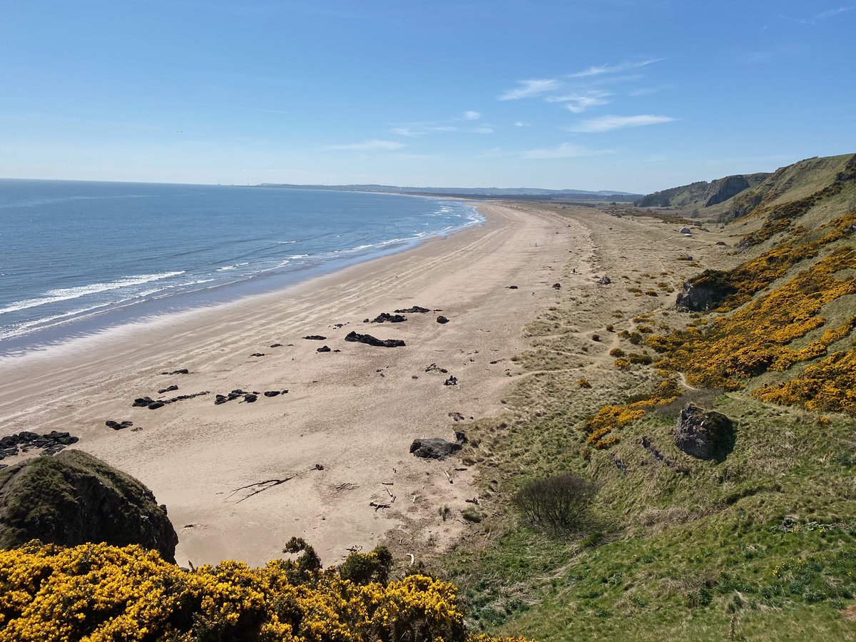 MontroseSnap's tweet photo. Stunning day at St Cyrus today. Thanks to Malcolm for emailing through this #coastsnap.

#montrose #CitizenScience https://t.co/k6vB84RT6E