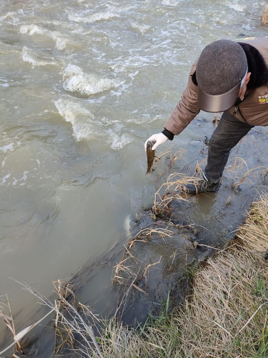 VuqarAliyevDGK's tweet photo. #Armenia «kills» the rivers flowing to #Azerbaijan – the heavy metals content is going off the scale. Armenia, from where the majority of rivers flow into the territories of Azerbaijan haven't joined the #HelsinkiConvention on Transboundary Watercourses. #Ecoterror #Ecocide @UNEP https://t.co/LC06tvbexX