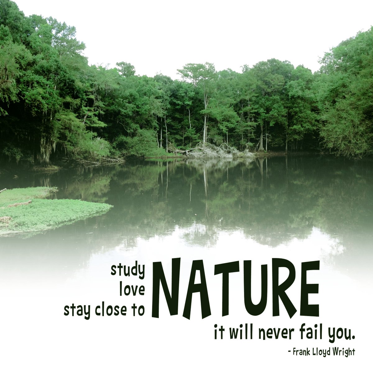 Kids in Parks tweet media