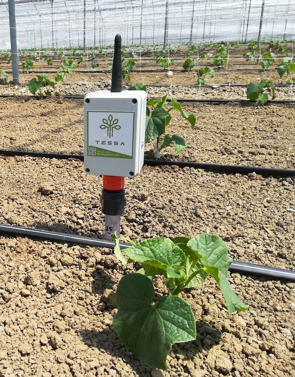 On #EarthDay and every day we we work with #growers #farmers and #agronomists towards building a greener and #sustainable future! 🌱

#TessaAgritech #MoreKnowledgePerHectare