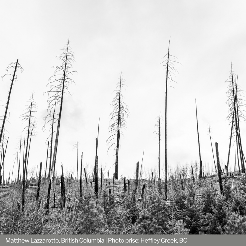 UKinCanada's tweet photo. We asked 🇨🇦 Canadians to share what climate change looks like to them.
Now on #EarthDay, we are sharing their stories with you. See them all ➡️ https://t.co/OuwEP5ISSR
#CapturingClimate 🌱 #COP26