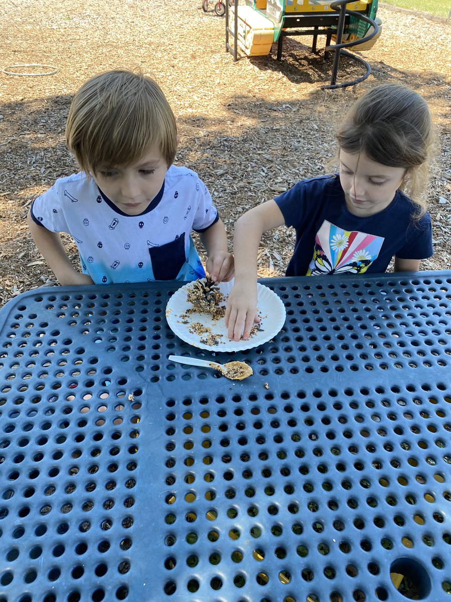 MSDusek's tweet photo. Earth day project #2 pine cone bird feeders ❤️🌎😍 #celebratelps @LecantoPrimary https://t.co/pzpPUes7t8