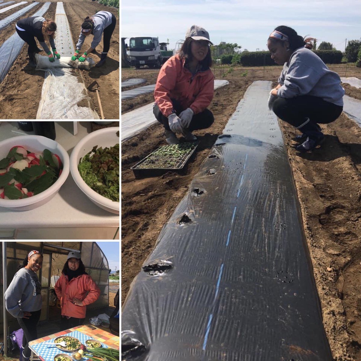 Ms_InProcess's tweet photo. Wellness Goals: #EarthDay2021 
1. Find ways to grow where I am planted. 🌱 
2. Turn over a new leaf. 🍃
3. Surround myself around ppl &amp; services that will help me blossom. 🌺 

Last year, I found new ways to invest in my wellness in the midst of a whirlwind of changes. #Farming https://t.co/NKe22QPiaL