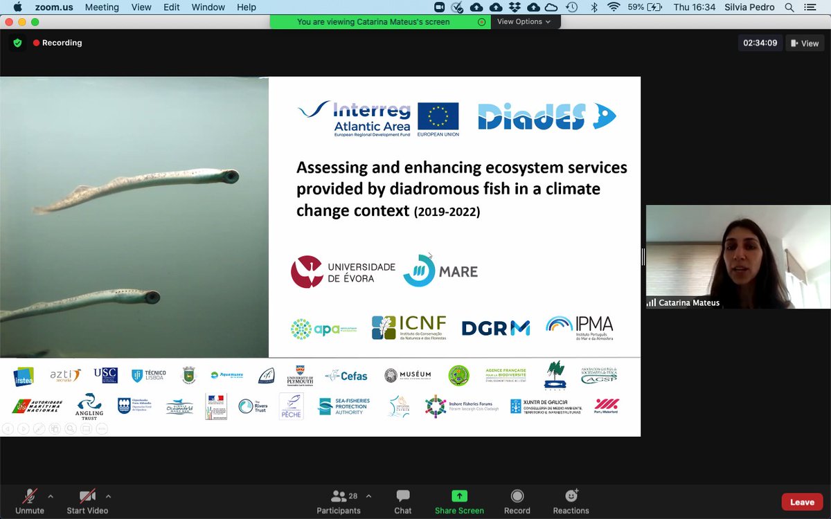 CatarinaPMateus's tweet photo. Presenting DiadES project on the first Sea Lamprey Seminar. What a nice meeting with so many lamprey experts.
@univdeevora @MARE_centre 
#DiadESproject @AtlanticArea https://t.co/YHehO8P1ne