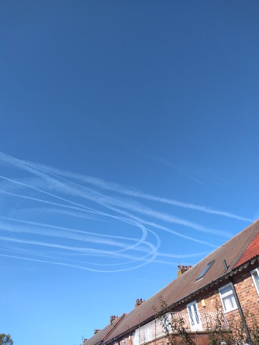 Nature Photography By Sandra Sayer’s pics and videos