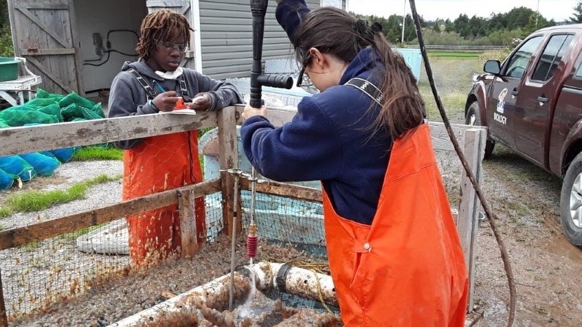Great things happen when you collaborate with universities and involve young and talented students to work on projects

In summer of 2020! We had the pleasure to work with <a href="/stfxuniversity/">StFX University</a> and students from the Qalipu Mi’kmaq First Nation