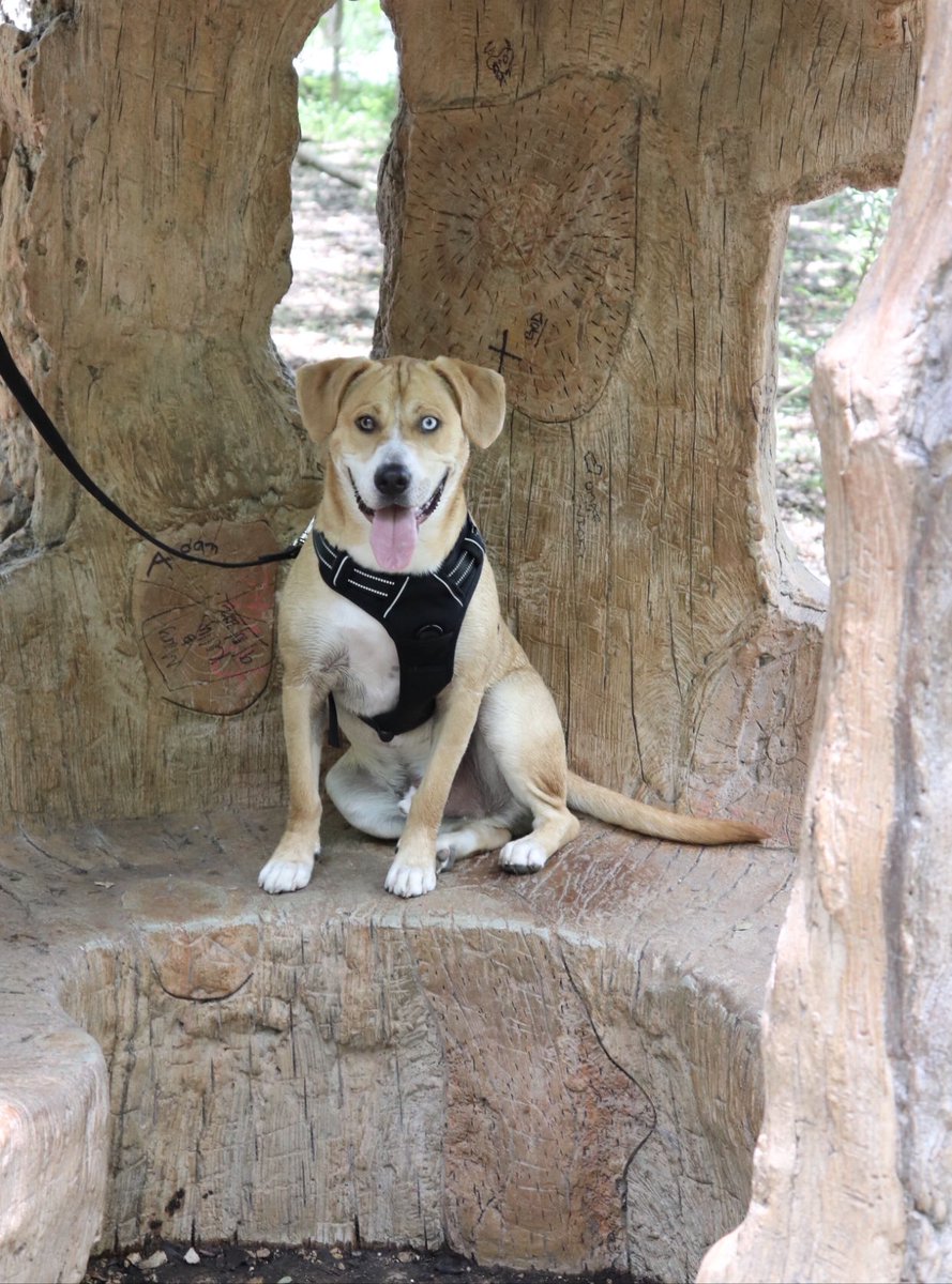 th@tg1rl tweet media