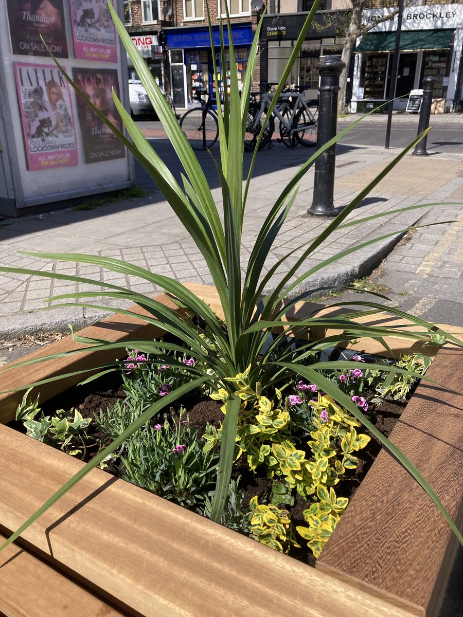 EdstnStreets's tweet photo. Beautiful planting of the Elsie Rd parklet
#GreeningTheGrey #PlaceToStopAndRest #HealthyStreets https://t.co/Z3mLX01TQl