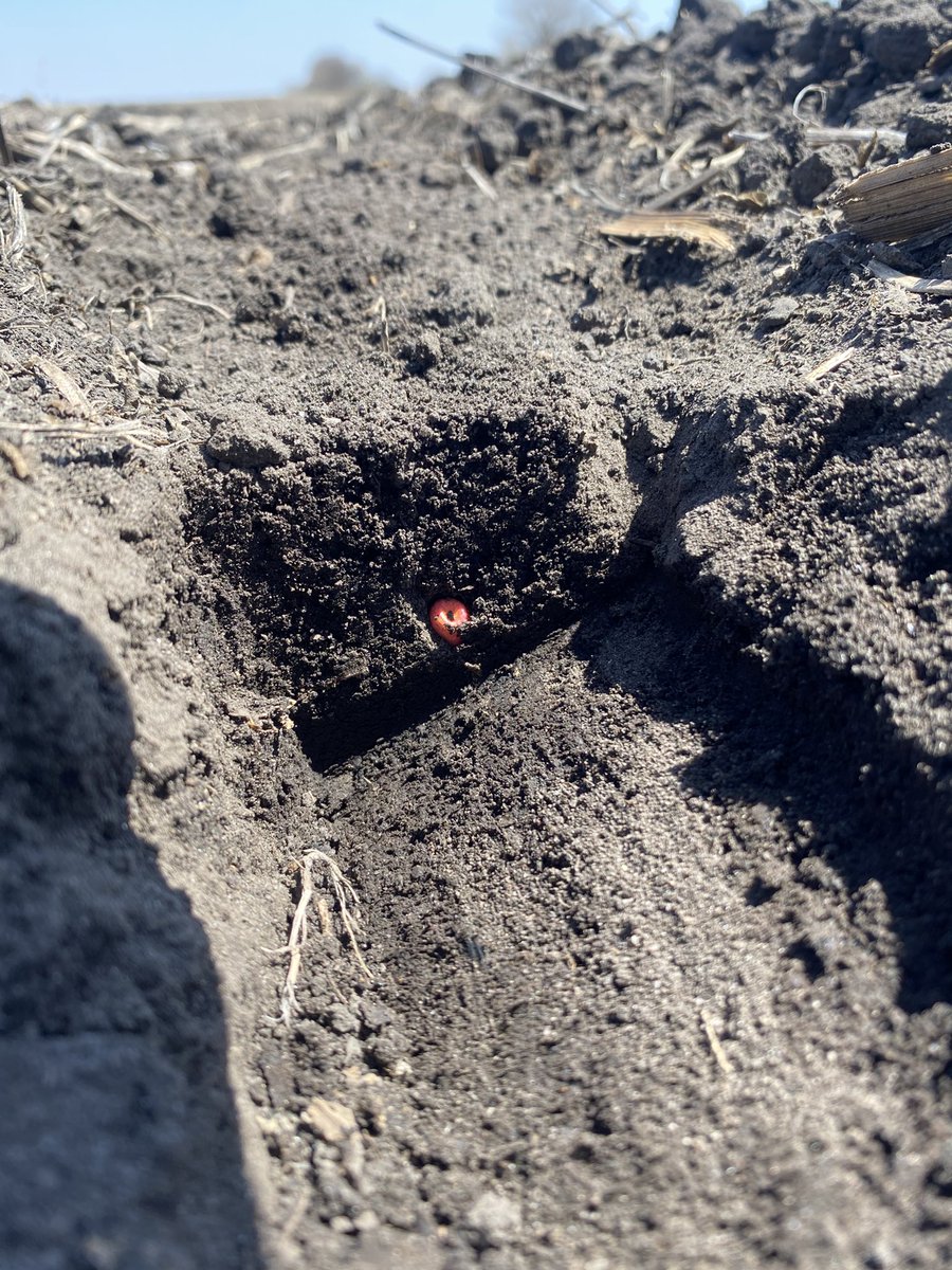 Pleasantly surprised about soil moisture in Story County. Check field to field given dry spring conditions.  Currently planting at 2.25” behind a light field cultivator pass.  #plant21 #isucrops