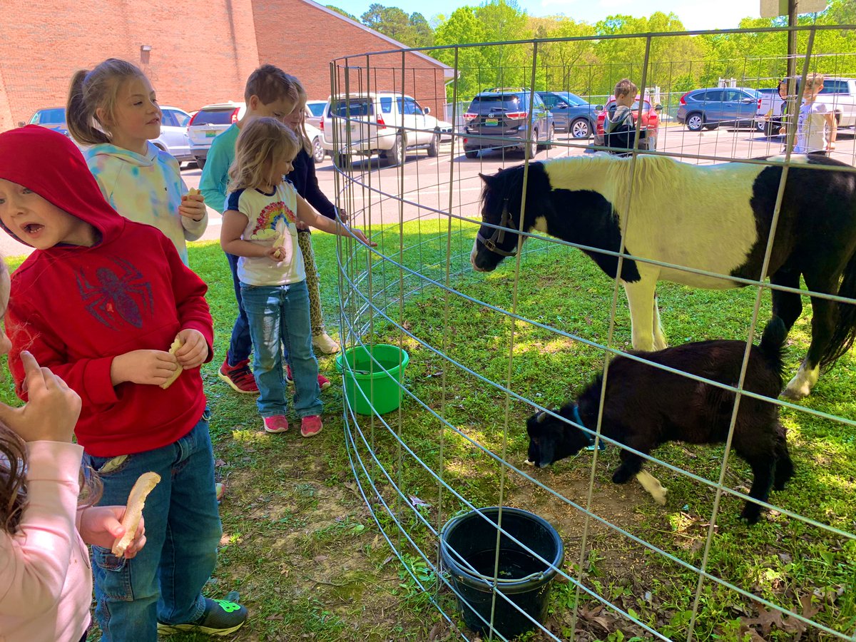 CCPSHENCLASS tweet media