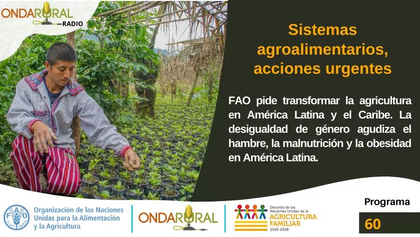 ondarural's tweet photo. 📣AL AIRE el #Programa60 de #OndaRuralRadio🎙
✅ Pueblos indígenas, afrodescendientes y etnias: fundamentales en la recuperación y transformación del mundo rural post #COVID.
#EXPERIENCIA: Agricultura familiar y biodiversidad👨🌾🌳👩🌾🌿
🎧Escúchanos ▶️ https://t.co/lMoGnpoxXF https://t.co/NEtydSceeR