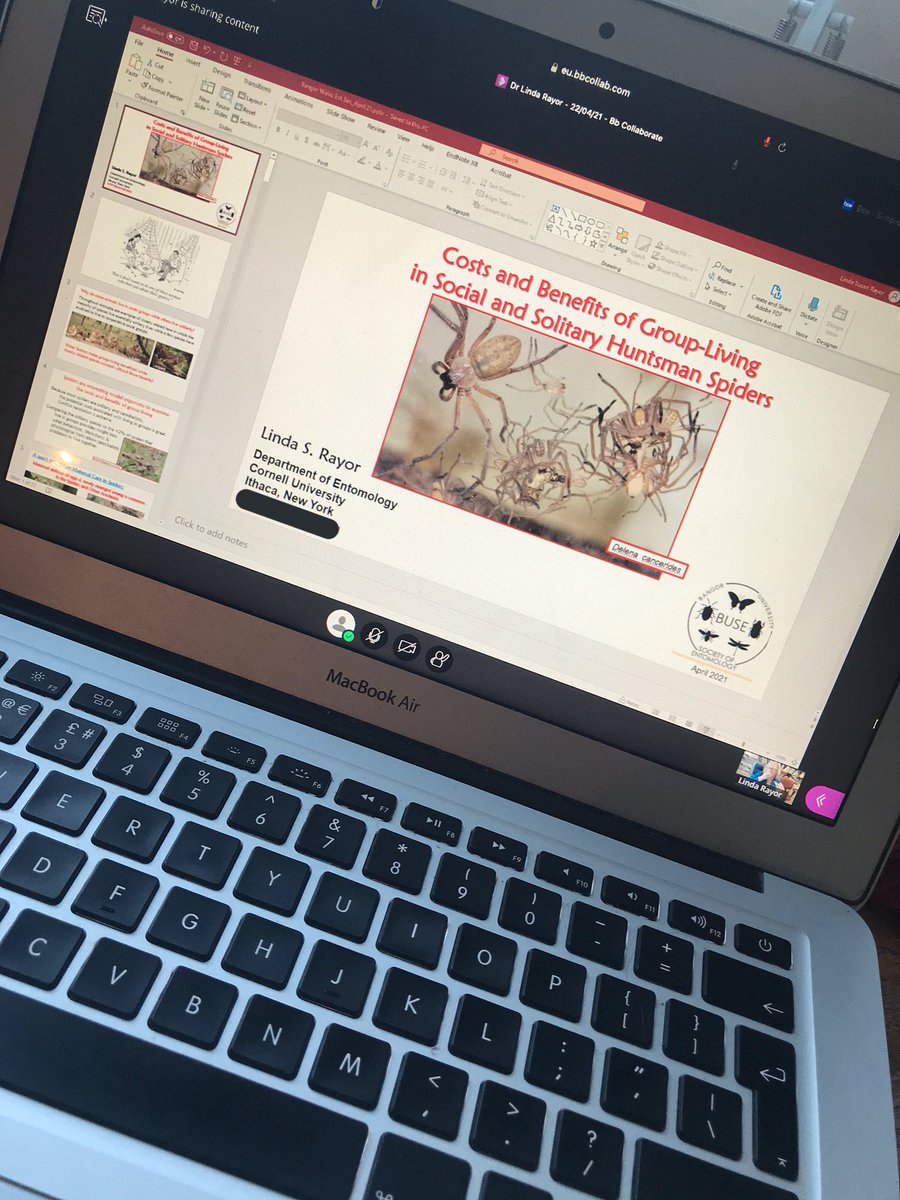 Feeling so privileged to receive a talk on Huntsman spiders from the expert herself, Dr Linda Rayor!