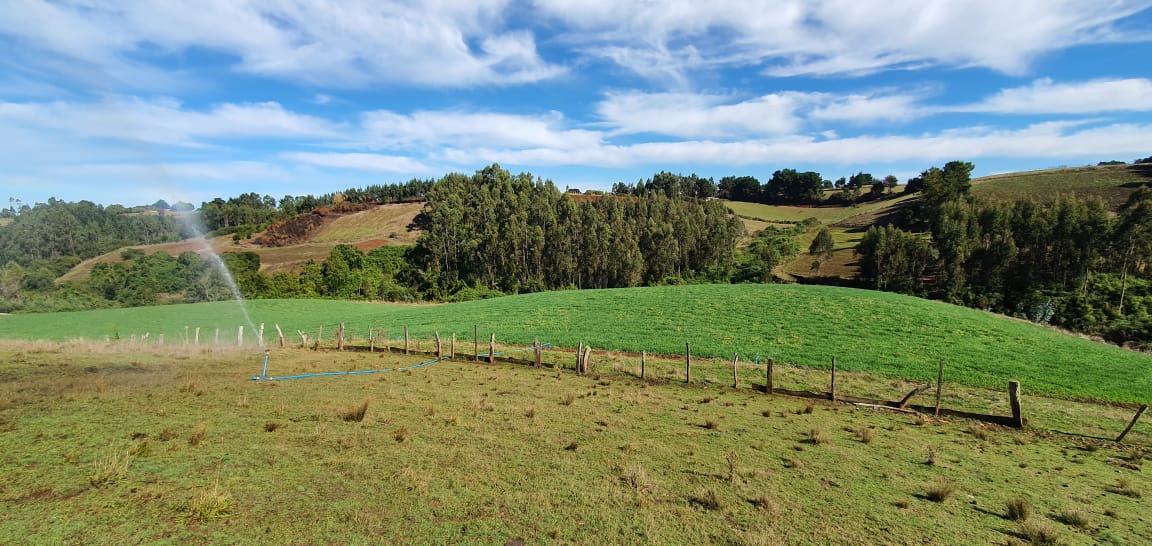 Comisión Nacional de Riego Chile tweet media