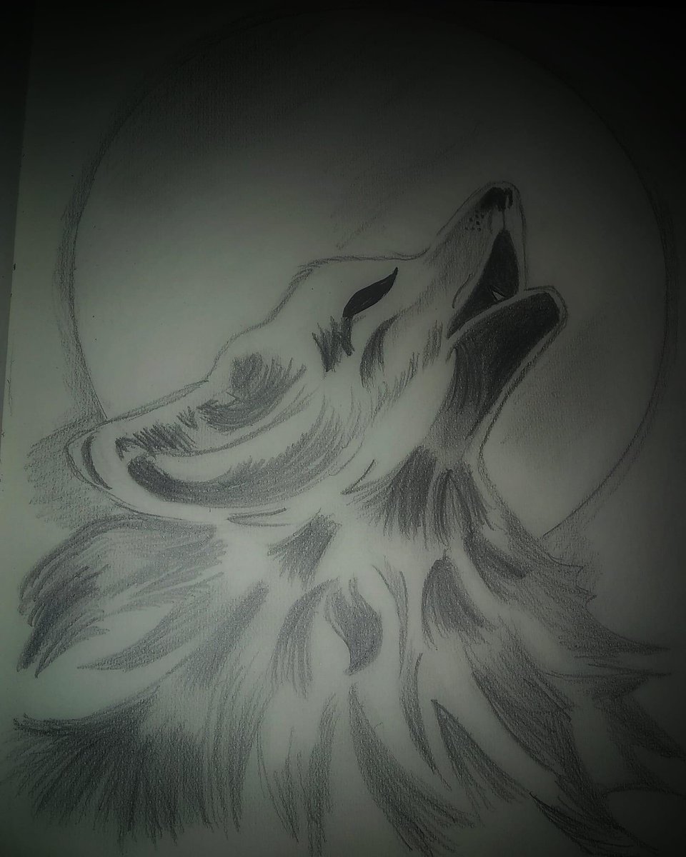 Ansha_Azmeer's tweet image. Sometimes I want someone to see the dark parts of my mind, the messy, the scary, the destructive, and still choose to stay!!

#tb #2k19