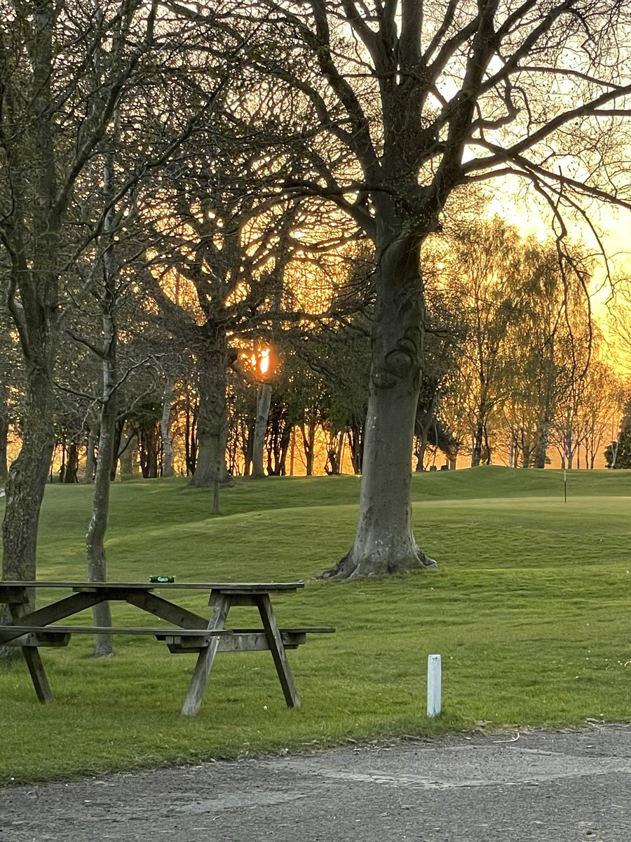 #sunset through the trees ⁦<a href="/ArscottGC/">Arscott Golf Club</a>⁩ #eveningdrinks on the new decking glorious