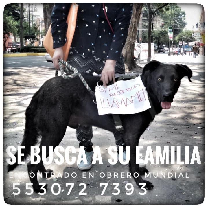 TapiaFernanda's tweet photo. Lo conocen? https://t.co/0f1O59efvr