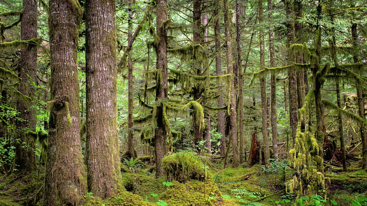 Washington State Dept. of Natural Resources tweet media