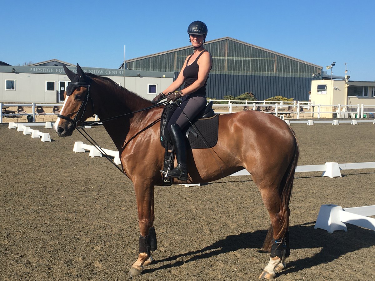 Finally, an afternoon off from the 'day' job with my amazing, very tall dressage youngster! First time out. Very exciting! #younghorse #dressage #downtime