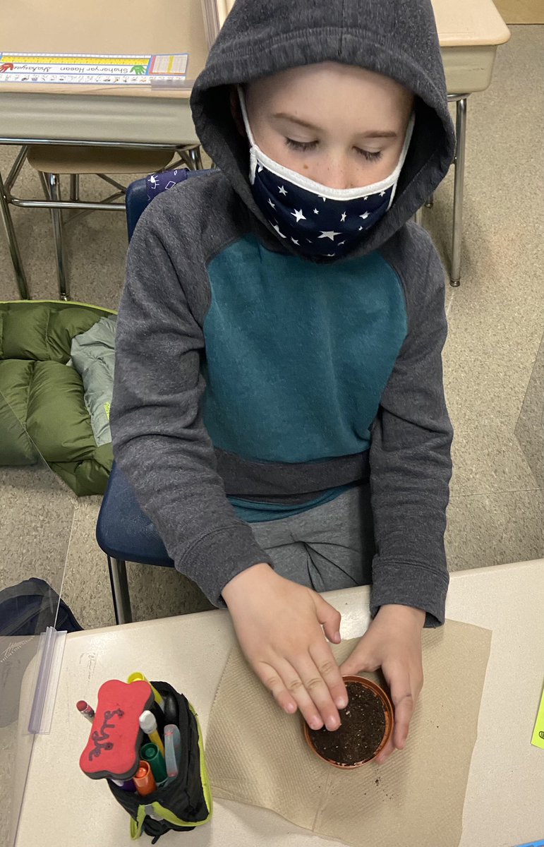 Hillcrest Courtyard tweet media