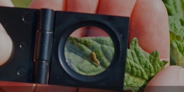 platformtierra's tweet photo. #SmartProtect: metodologías avanzadas y tecnologías para la protección de los cultivos 

https://t.co/1vJgreUWoQ

@Cajamar @ADNAgroFood
#innovación #agroalimentación #agricultura #investigación https://t.co/JNltaVAB7E